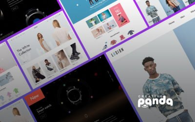 Advantages of using a Premium theme